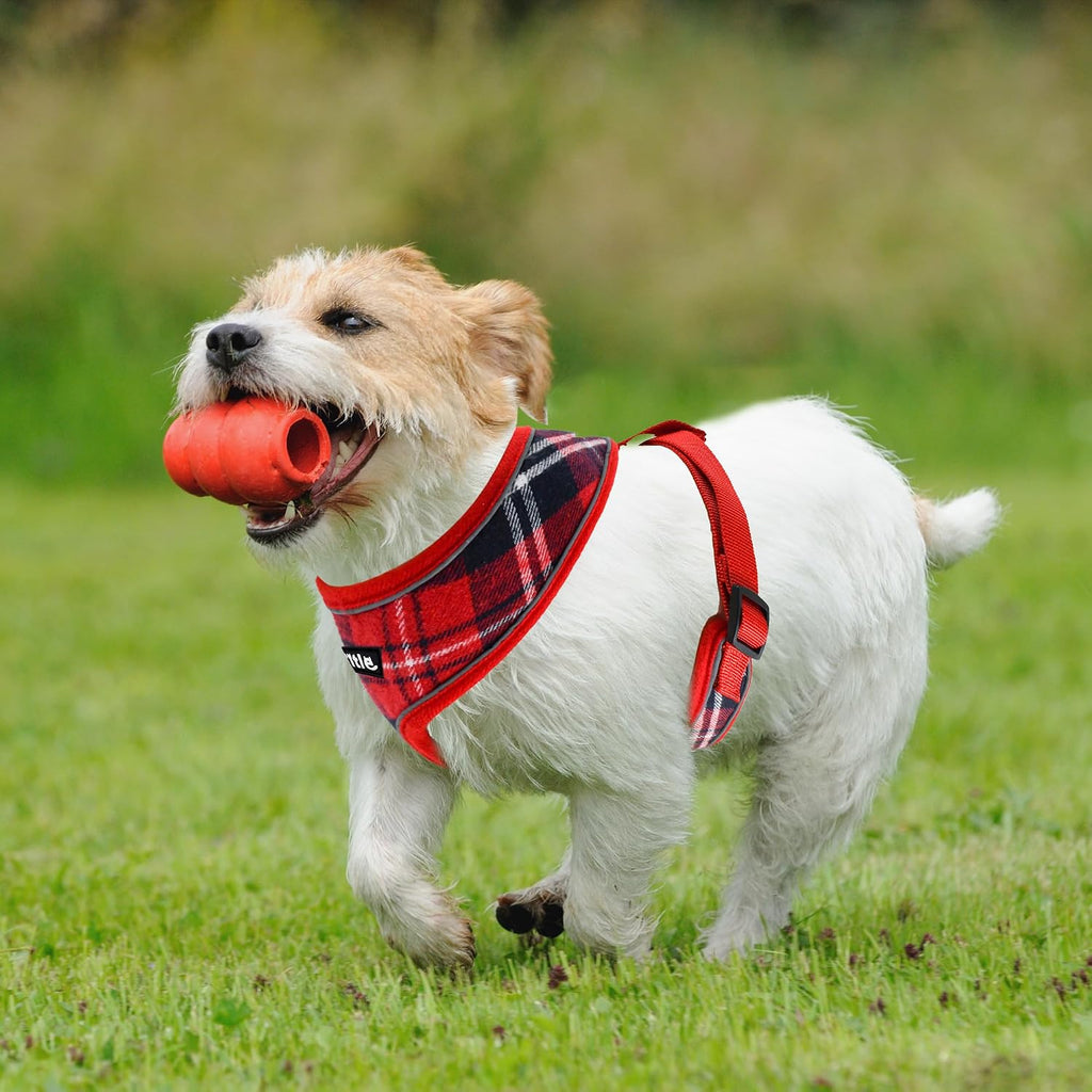 Dog Harness No-Pull Reflective Mesh Adjustable, Red XL