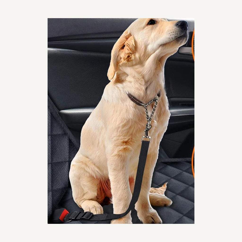 PawGuard™ Waterproof Dog Car Seat Cover – Scratch-Proof Back Seat Hammock for Cars, SUVs & Trucks